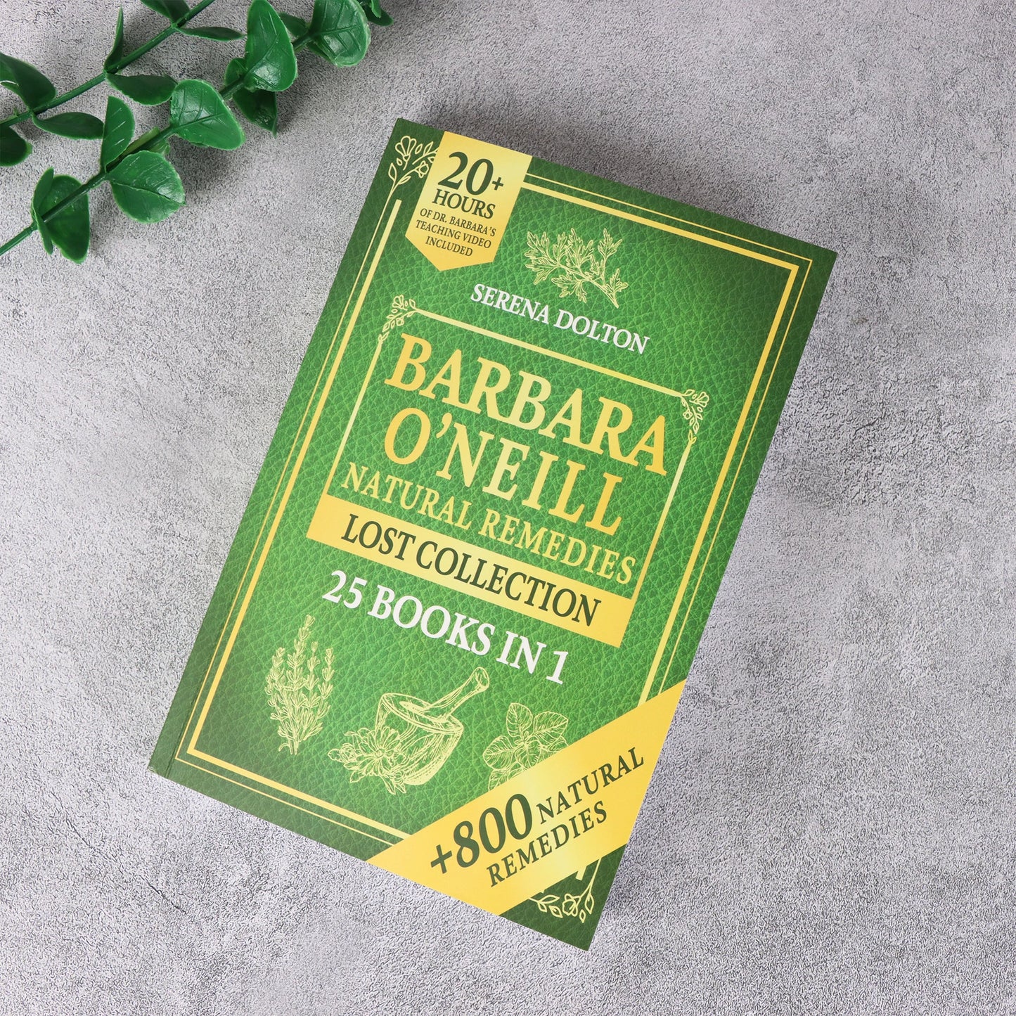 1/2 Books Sustain Me By Barbara O'Neill Natural Remedies Lost Collection A Holistic Guide to Herbal Medicine and Balanced Living